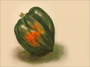 Acorn squash Cucurbita pepo