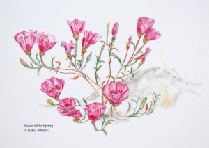 Farewell to Spring