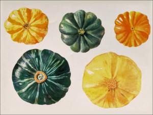Five squash