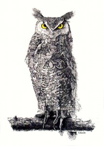 Great Horned Owl card