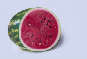 Watermelon Citrullus lanatus 02