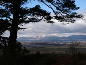 Winter View North from Gillies Hill, Cambusbarron, Scotland
